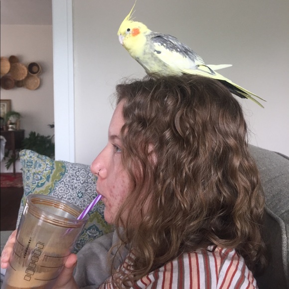 Meet your Posher, Moe - Picture 1 of 4